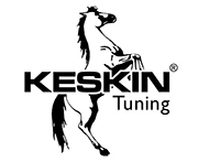  logo_keskin_small