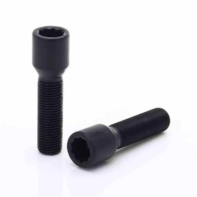 Zestaw 10 szt. Śrub BLACK torx 45mm 14x1,25 + Klucz